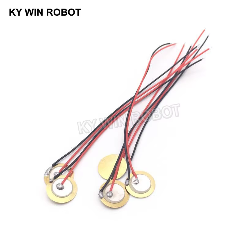 10 Buah Pelat Wafer Keramik Pi - Diy For Electronics ulasan dan harga